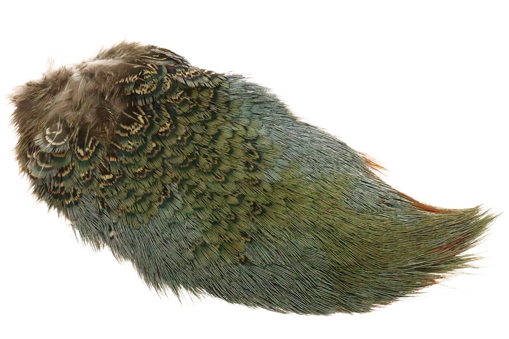 Ringneck Rump Patch - Olive