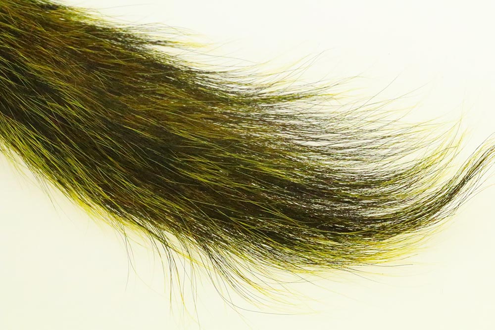 Silver Tip Squirrel Tail  - Yellow