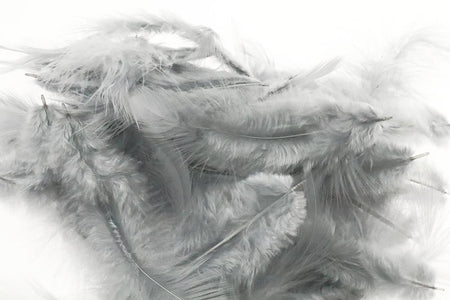 Du tilføjede <b><u>Metz Soft hackles - Grey</u></b> til kurven.