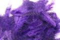 Soft hackles - Grizzly Purple