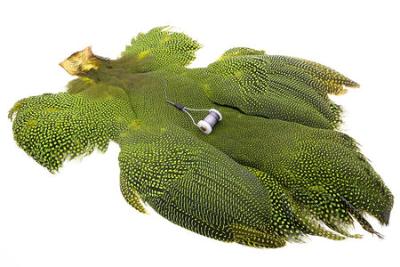 You added <b><u>Whiting Whole guinea fowl - Chartreuse</u></b> to basket.
