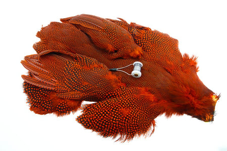 You added <b><u>Whiting Whole guinea fowl - Orange</u></b> to basket.