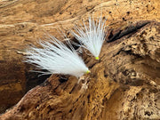 Slim Lady - White, yellow, orange