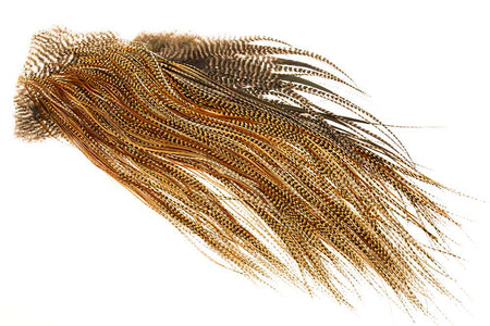 You added <b><u>(Silver Grade) Whiting Red Label Saddle - Cree</u></b> to basket.