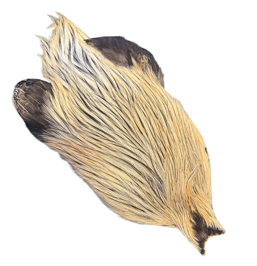 4B Whiting Rooster Cape - Golden Badger
