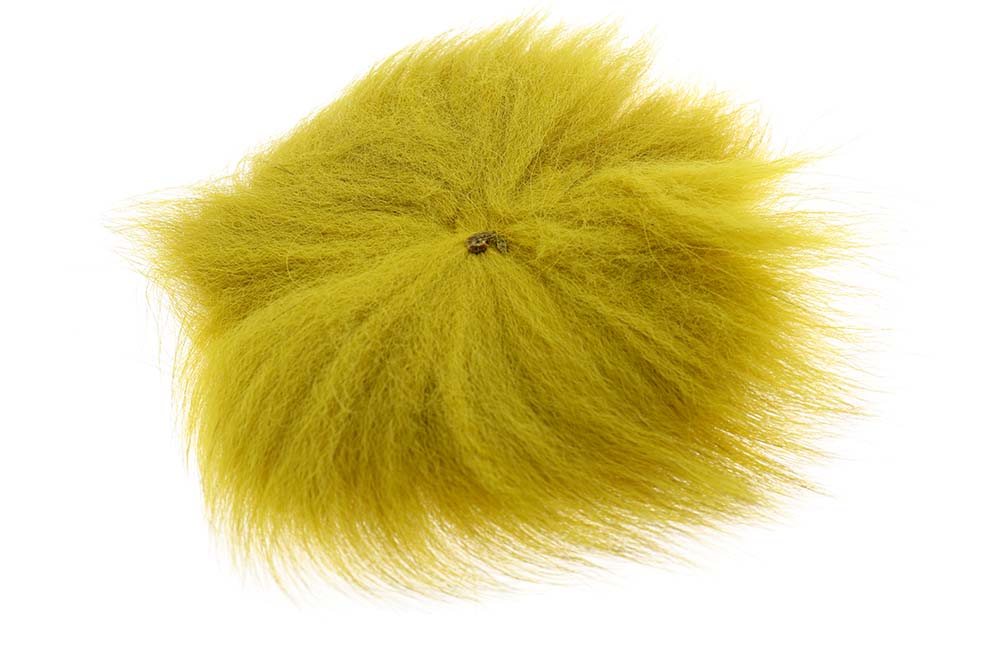 Polarræv - Golden Olive