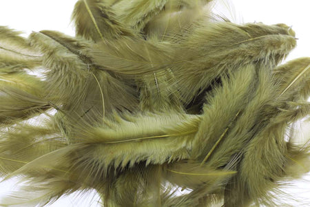 Du tilføjede <b><u>Soft hackles - Olive</u></b> til kurven.