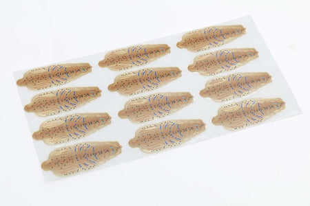 You added <b><u>Flyco Shrimp shells - Tan</u></b> to basket.