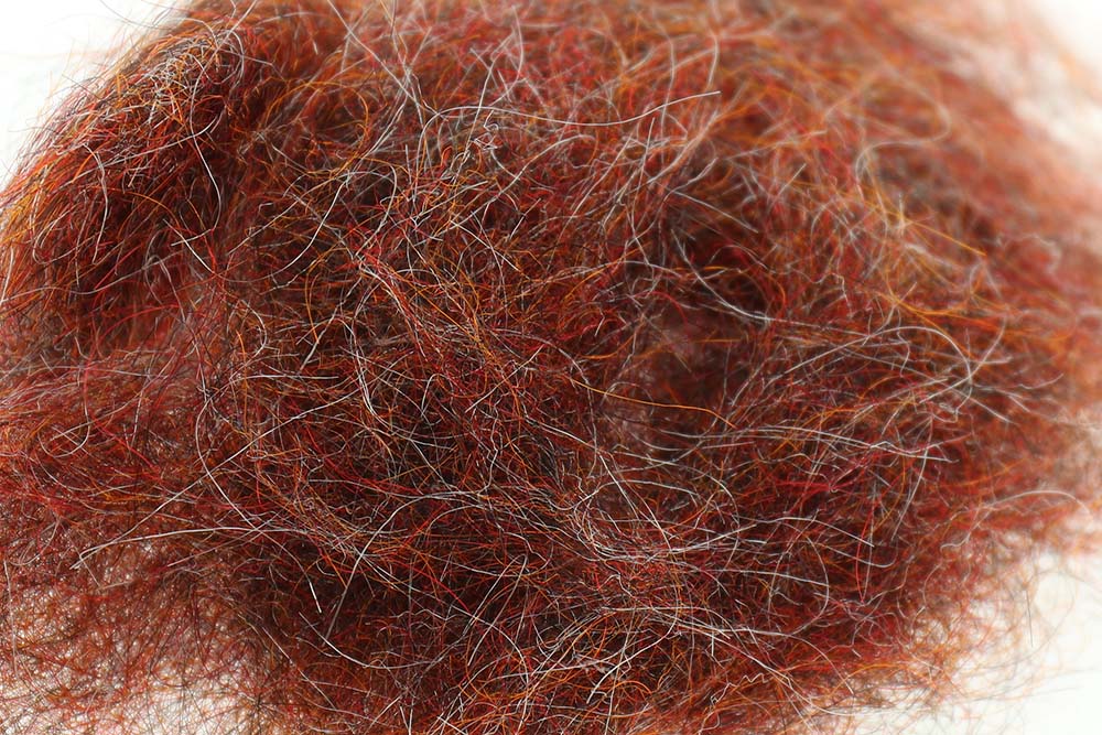 SLF Saltwater - Rootbeer