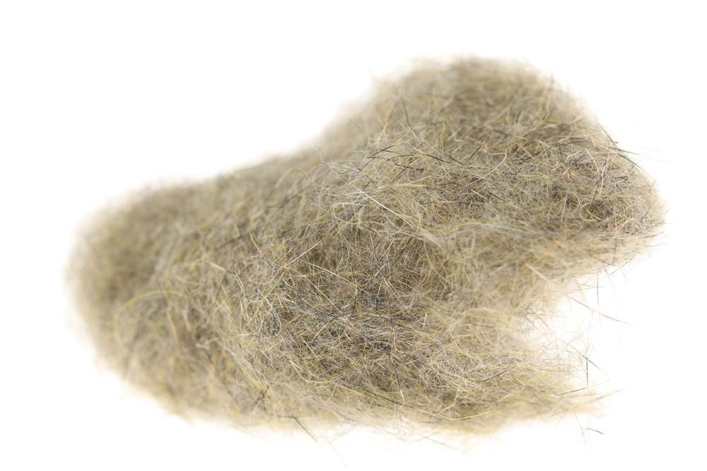 SLF Squirrel - Natural Fox