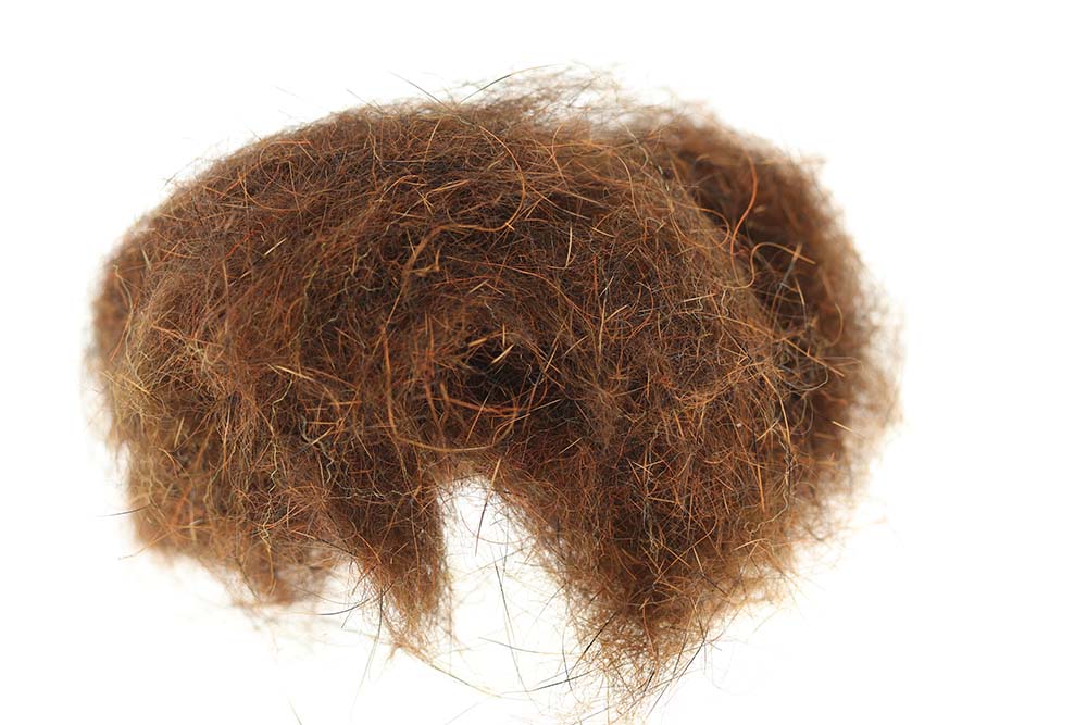 SLF Squirrel - Brown