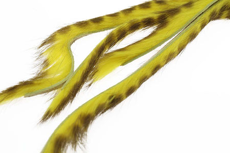 Du tilføjede <b><u>3 mm Rabbit Barred Zonkerstrip - Yellow</u></b> til kurven.