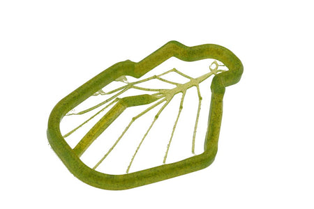 You added <b><u>Easy Shrimp Legs 2.0: rejeben - Transparent Dirty Olive</u></b> to basket.