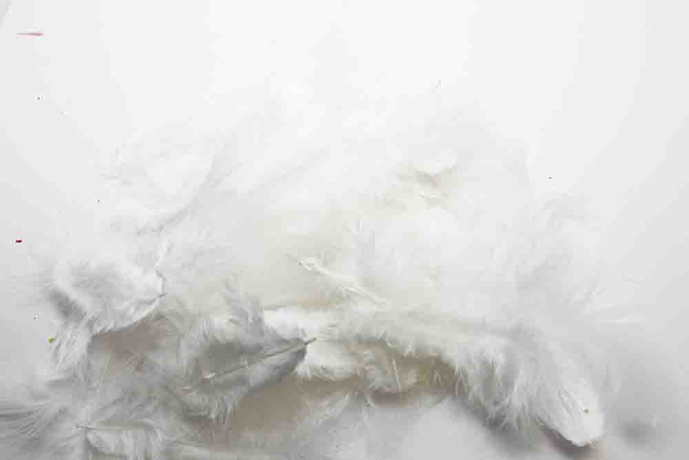 Metz Soft hackles - White