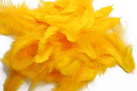 You added <b><u>Soft marabou hackles - Sunburst Yellow</u></b> to basket.