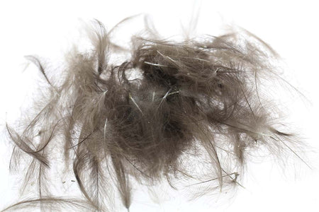 You added <b><u>Select CDC 1 gram - Natural Grey</u></b> to basket.