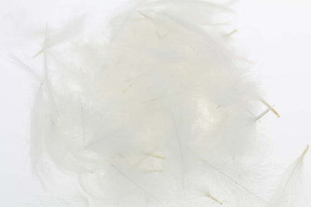 Du tilføjede <b><u>Select Cdc 1 gram - White</u></b> til kurven.