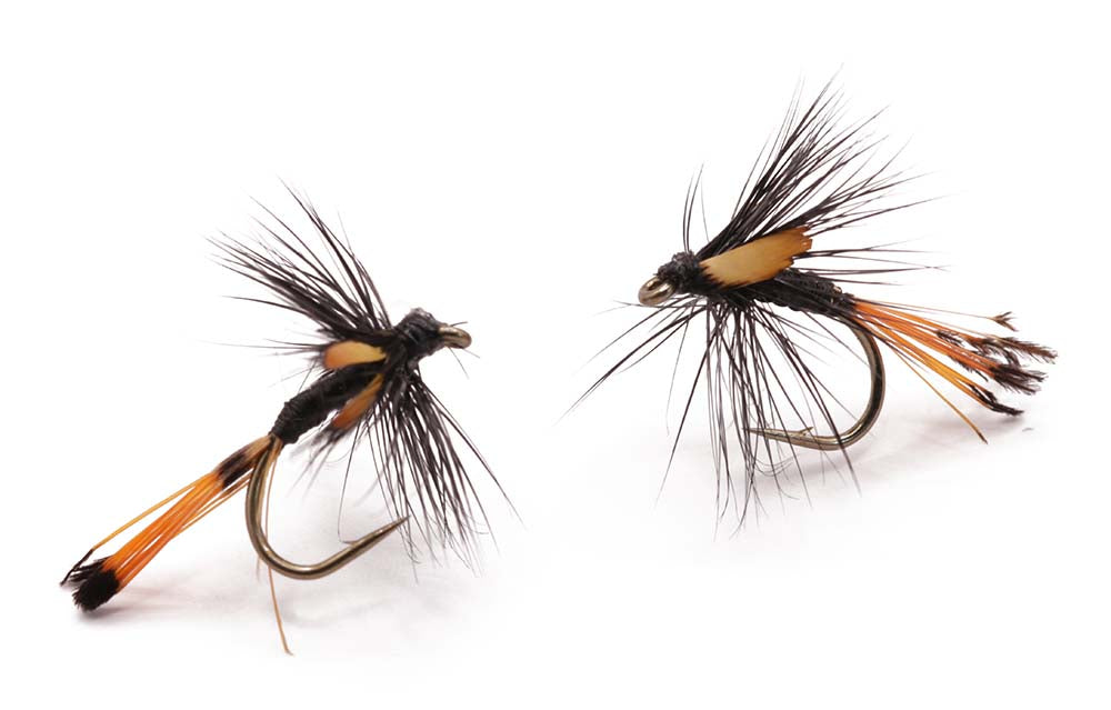 Flashback nymph Size 12 - tied in DK