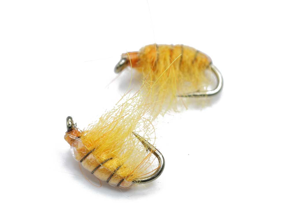 Flashback nymph Size 12 - tied in DK