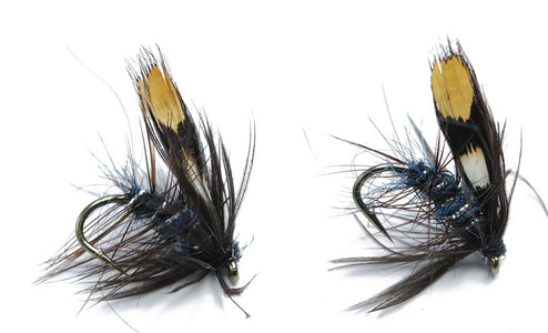 Du tilføjede <b><u>Bibio Jungle cock Blue</u></b> til kurven.