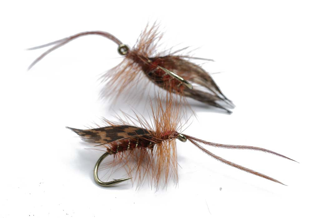 Flashback nymph Size 12 - tied in DK