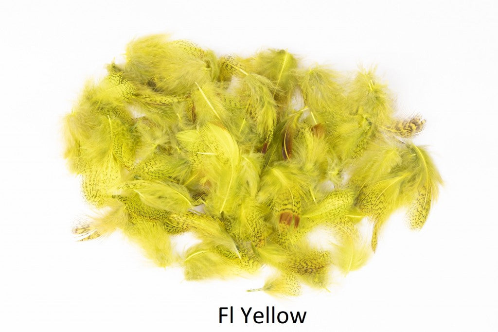 Rebhuhn - lose Federn