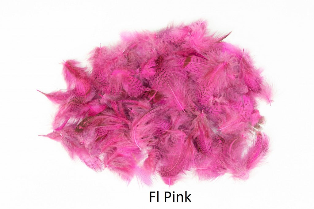 Rebhuhn - lose Federn