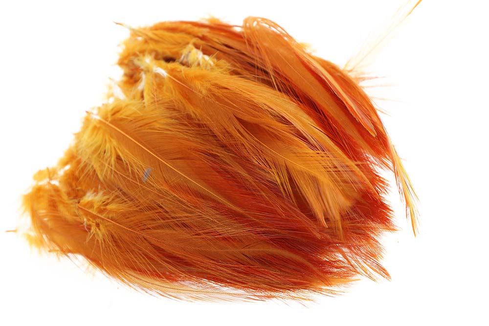 Hane Hackler - Ginger