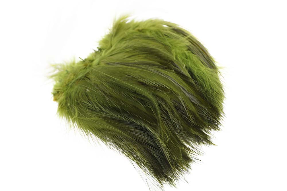 Hane Hackler - Olive