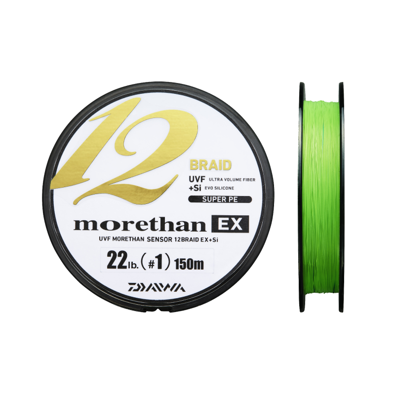 Daiwa Morethan ex 12 fletline