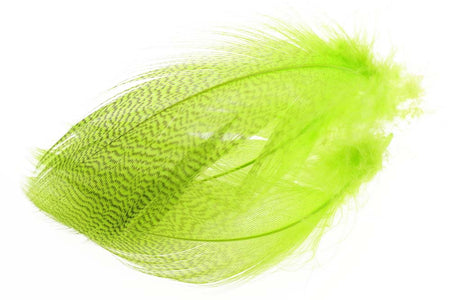 Du tilføjede <b><u>Mallard Barred Flank - Fl. Chartreuse</u></b> til kurven.