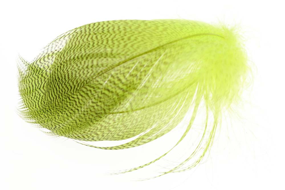 Mallard Barred Flank - Fl. Yellow