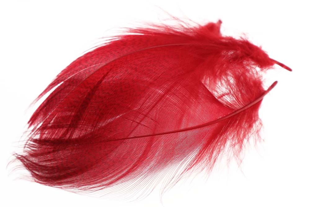Mallard Barred Flank fjer - Red