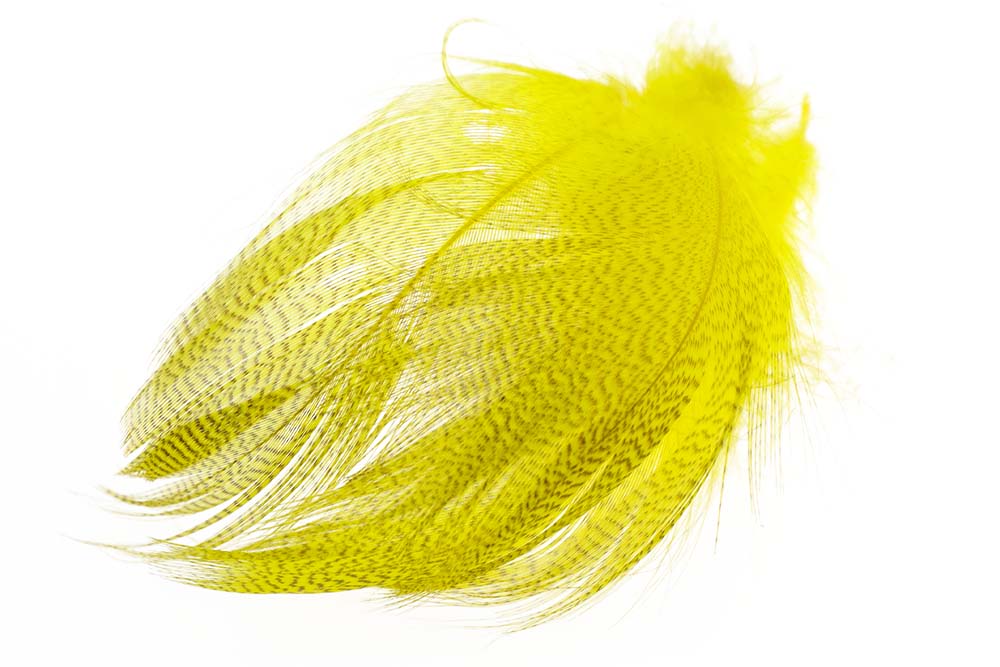 Mallard Barred Flank - Mayfly Yellow