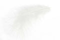 Mini marabou - White