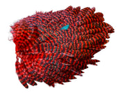 Futurefly FF Signature Hen Saddle - Red Grizzly