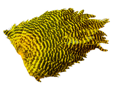 You added <b><u>Futurefly FF Signature Hen Saddle - Yellow Grizzly</u></b> to basket.