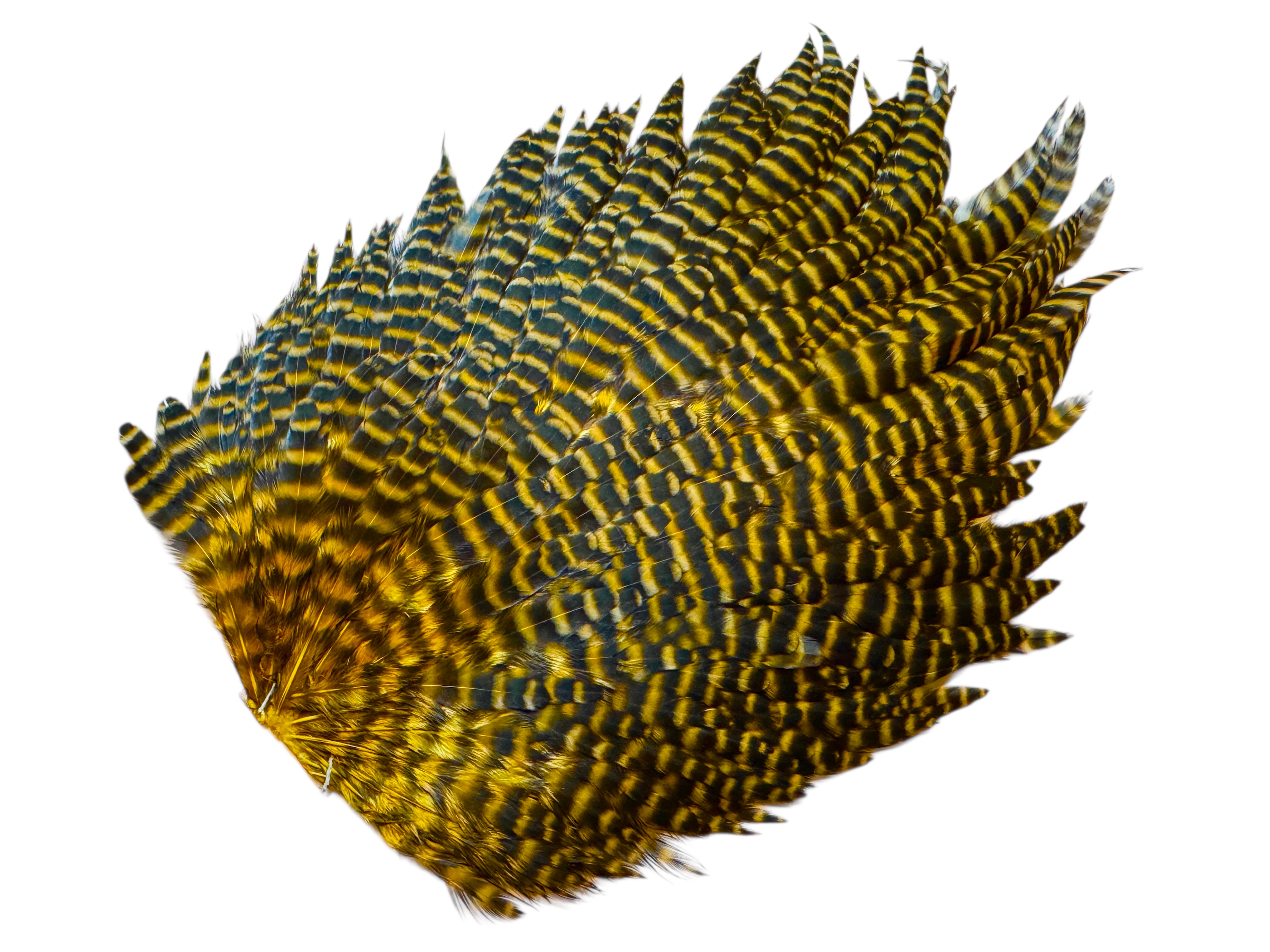 Futurefly FF Signature Hen Saddle - Grizzly Copper Olive