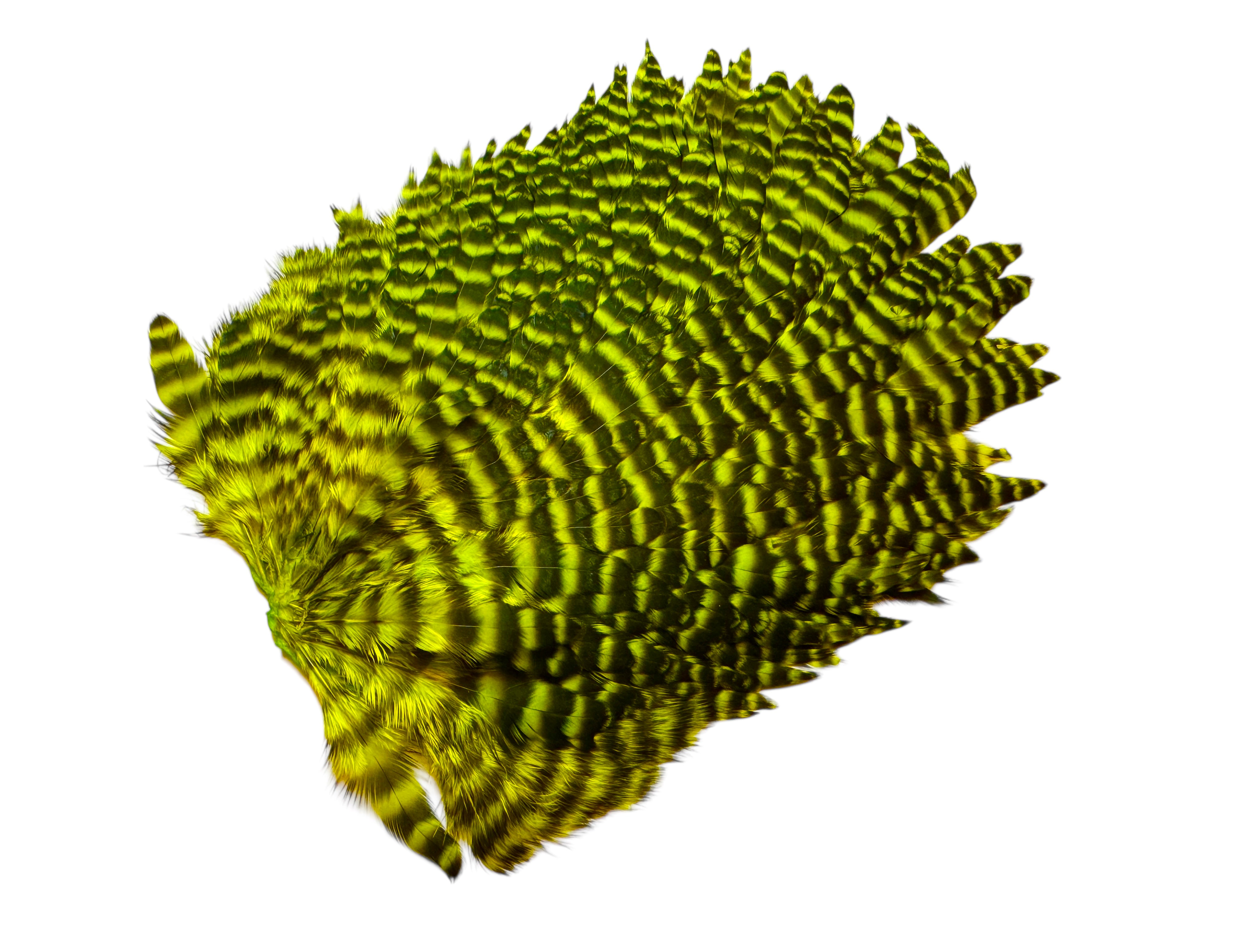 Futurefly FF Signature Hen Saddle - Chartreuse Grizzly