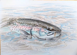 Thomas Weiergang original A3 - Rainbow Trout on the Dry A3 