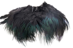 Ringneck Rump Hackle - Black