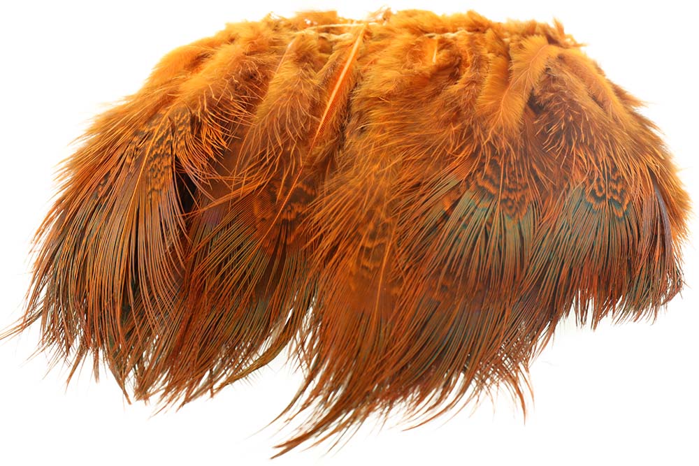 Ringneck Rump Hackle - Orange