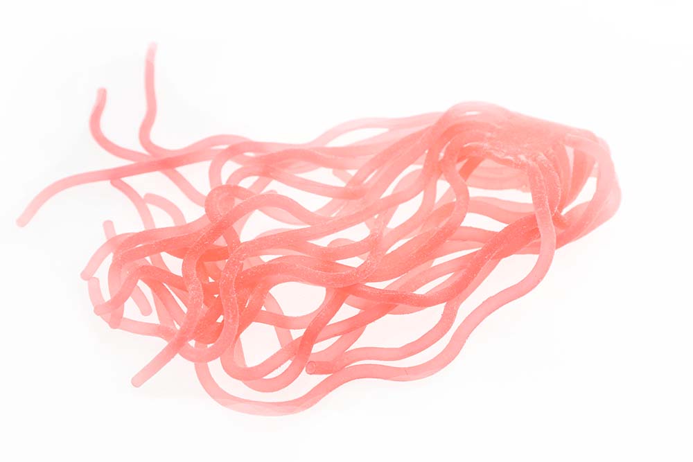 Sili Squirmy Wormy - Salmon Pink