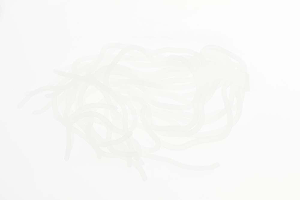 Sili Squirmy Wormy - Clear Frost