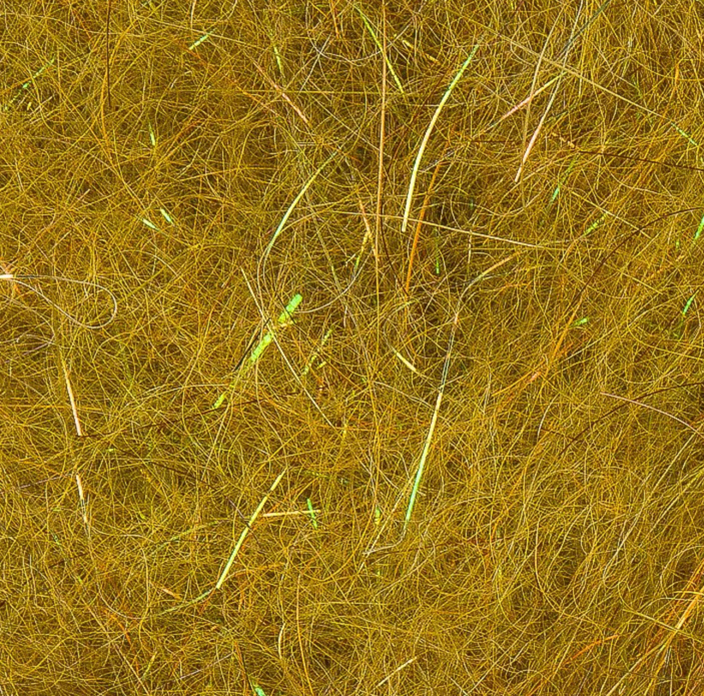 SLF Dubbing Dave Whitlock - Nearnuff Crayfish Brown