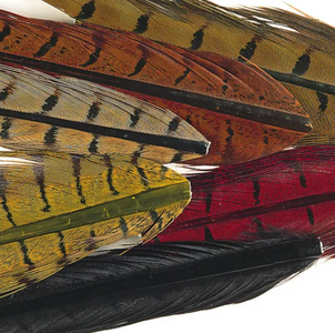 You added <b><u>Ringneck Pheasant tail 1 Pair - Olive</u></b> to basket.