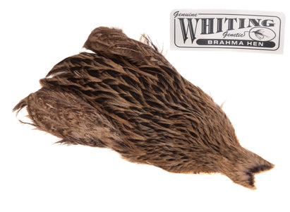 You added <b><u>Whiting Brahma - Tan</u></b> to basket.
