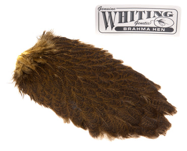 Du tilføjede <b><u>Whiting Brahma Saddle - Golden Olive</u></b> til kurven.