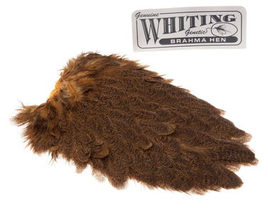 Du tilføjede <b><u>Whiting Brahma Saddle - March Brown</u></b> til kurven.