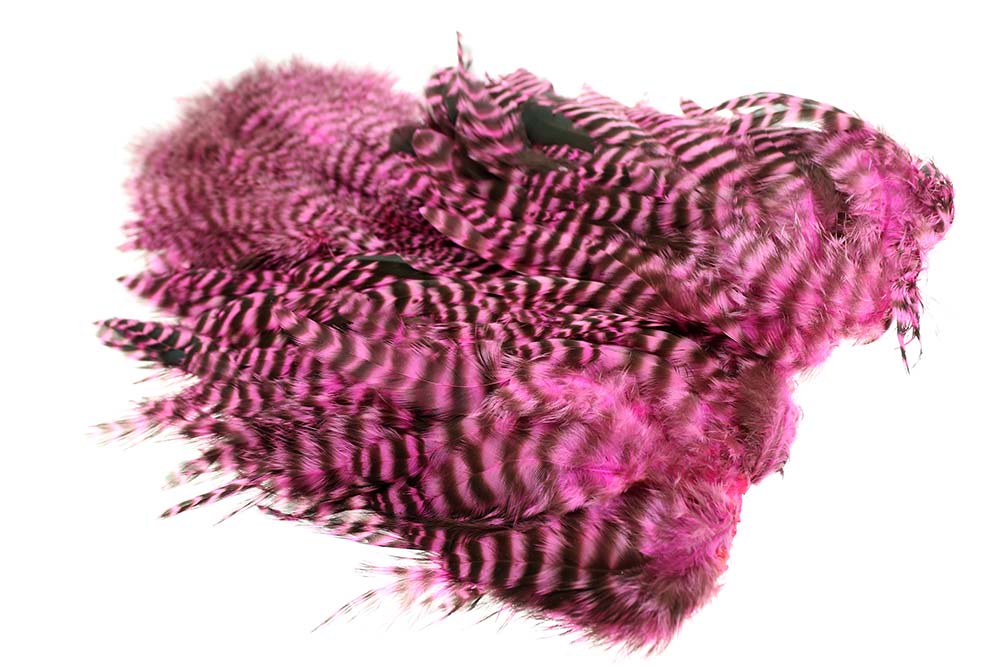 Whiting Rooster Softhackle W Chickabou SH/C - Grizzly Pink